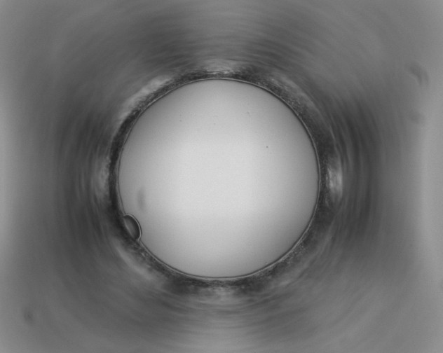 X0000113890492200910151338