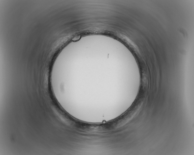 X0000113890493200910151338