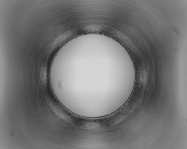 X0000113890494200910151338
