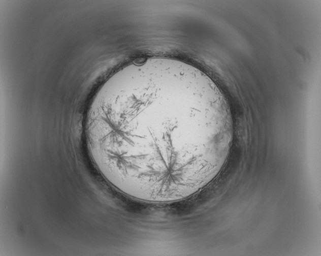 X0000113890495200910151338