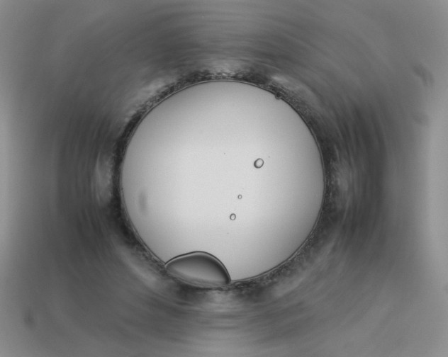 X0000113890496200910151338