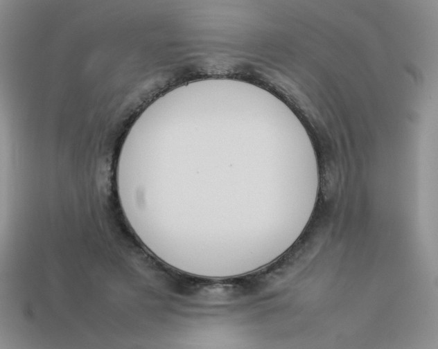 X0000113890497200910151338