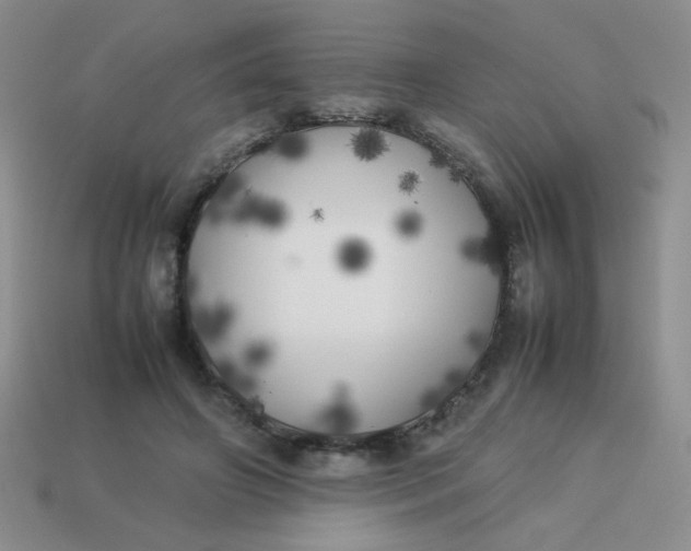 X0000113890498200910151338