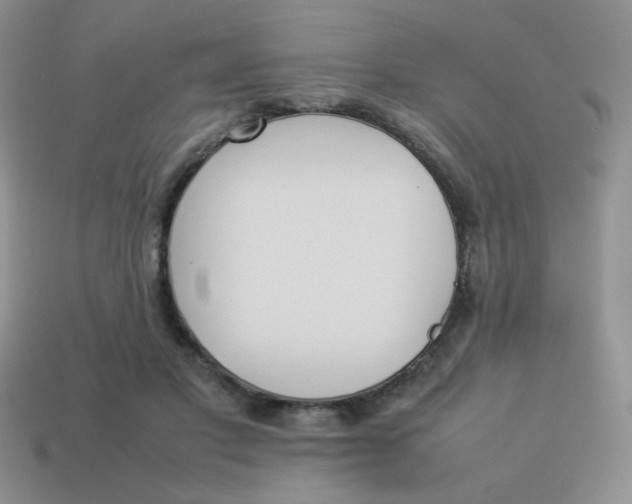 X0000113890501200910151338