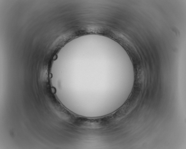 X0000113890502200910151338