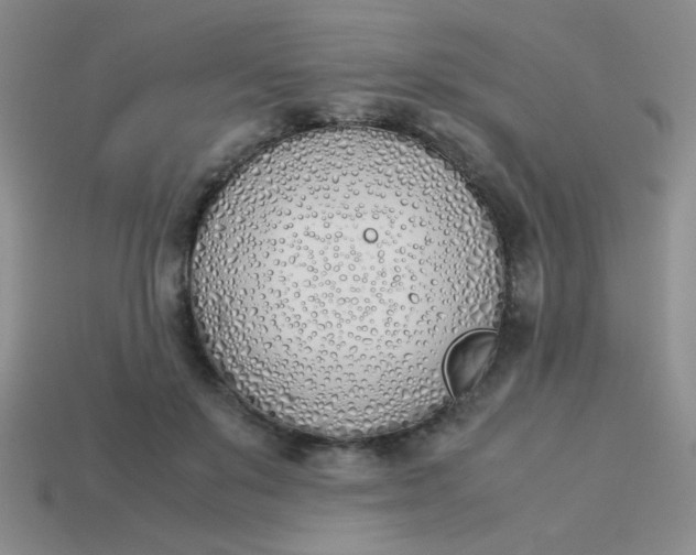 X0000113890503200910151338
