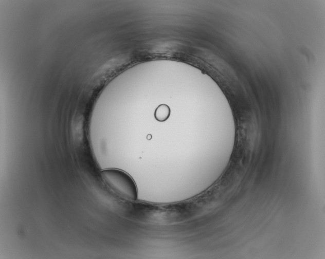 X0000113890504200910151337