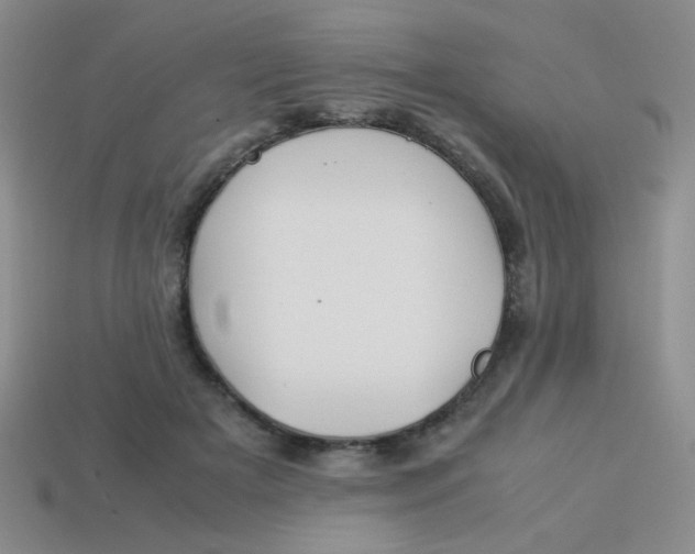 X0000113890505200910151337