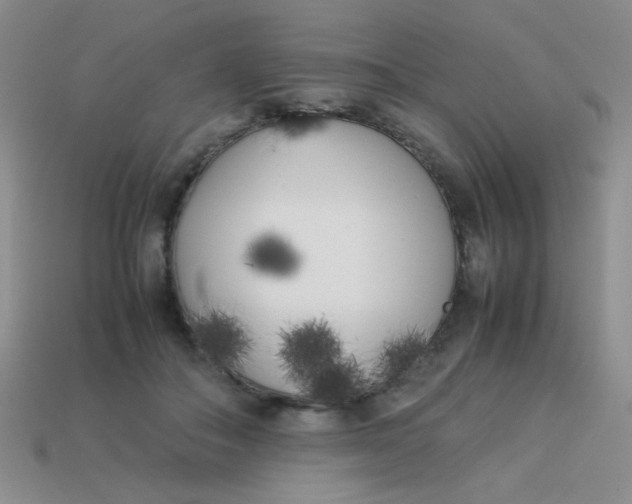 X0000113890506200910151337