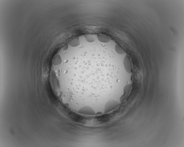 X0000113890507200910151337