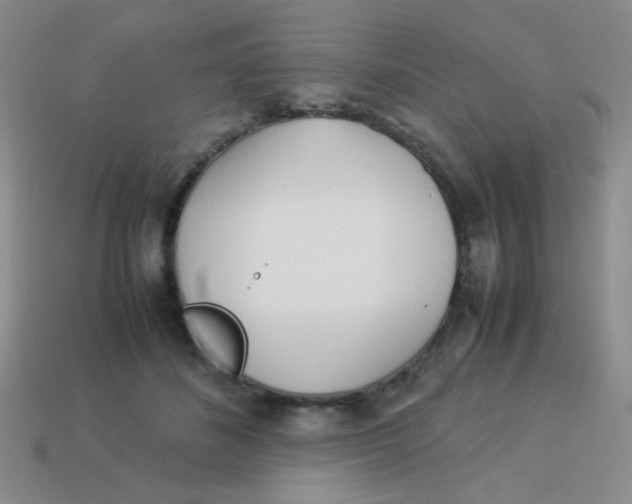 X0000113890508200910151337