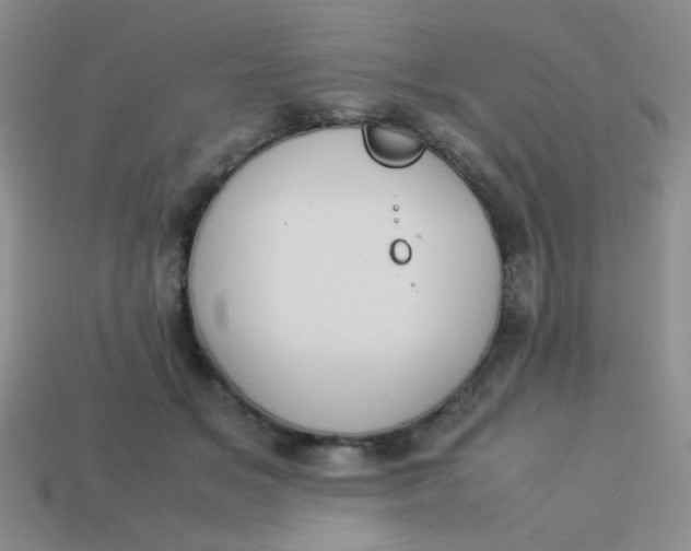 X0000113890509200910151337