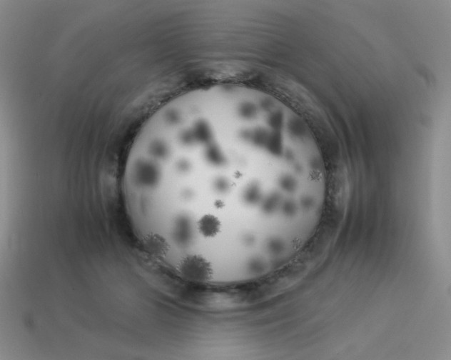 X0000113890510200910151337