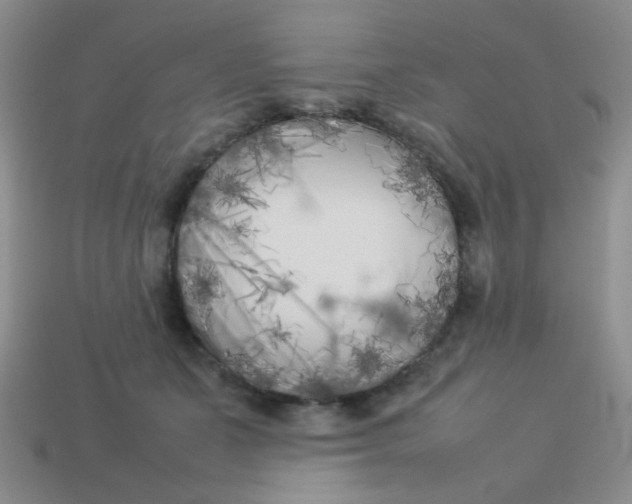X0000113890511200910151337
