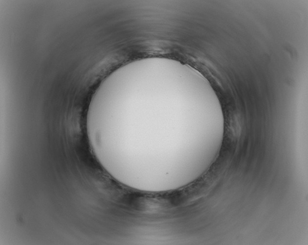 X0000113890512200910151337