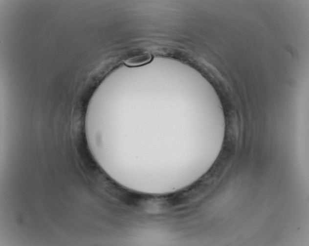 X0000113890513200910151337