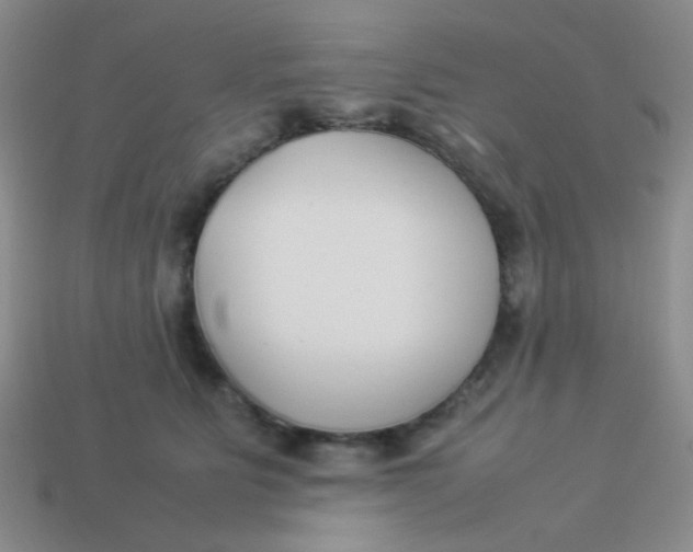 X0000113890515200910151337