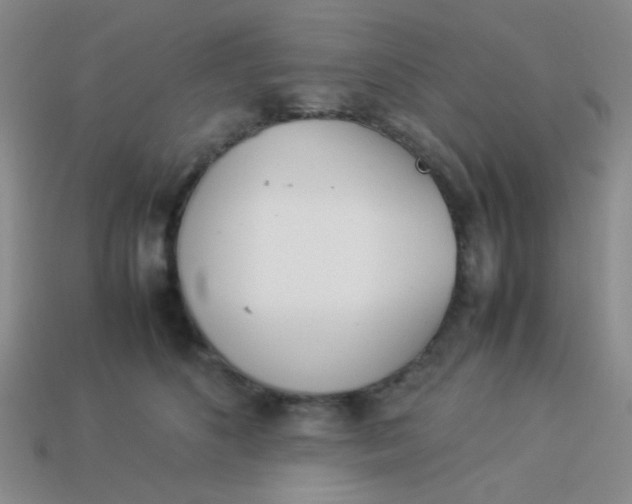 X0000113890516200910151337