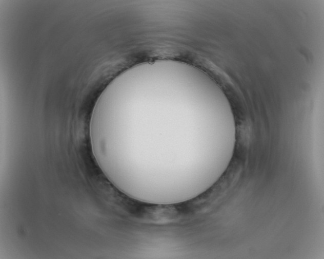 X0000113890517200910151337