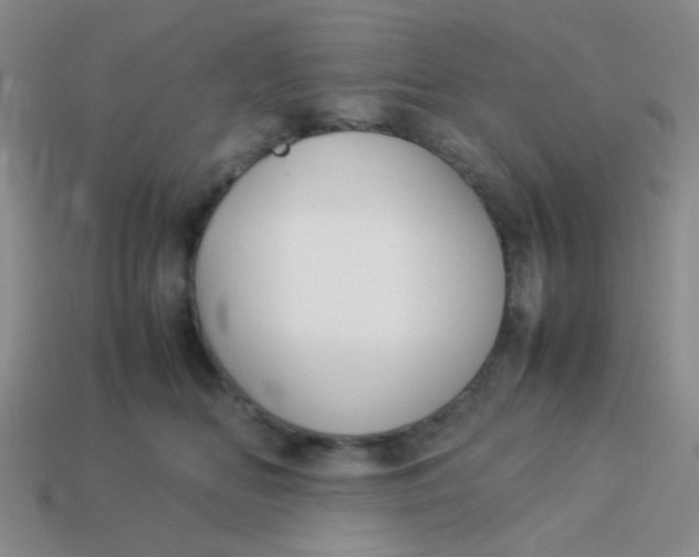 X0000113890518200910151337