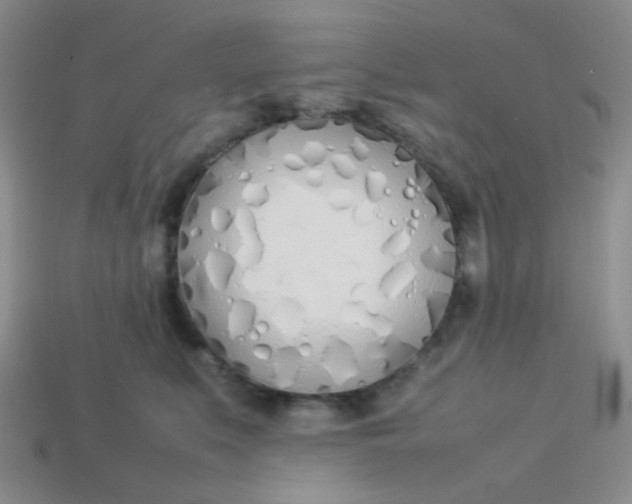X0000113890519200910151337
