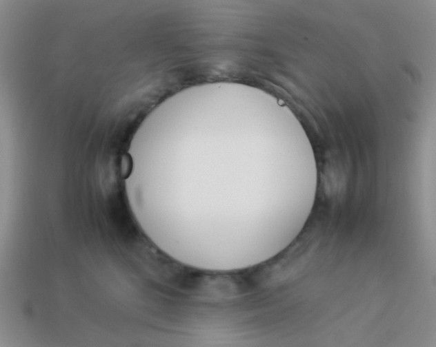 X0000113890520200910151337