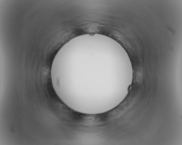 X0000113890521200910151337