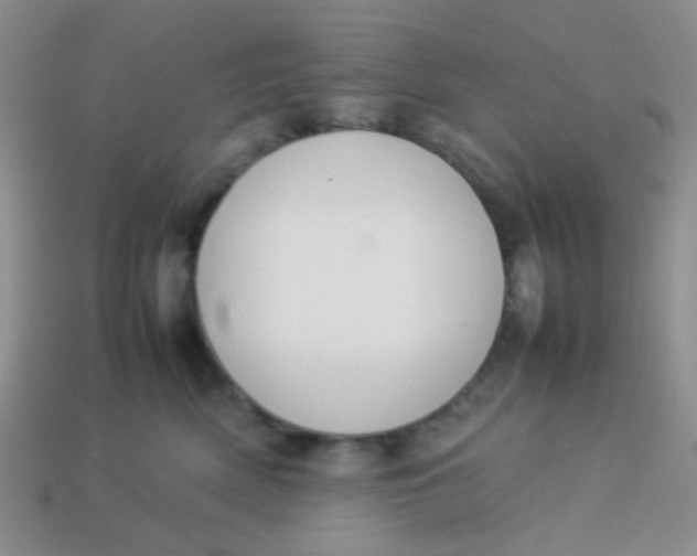 X0000113890522200910151337