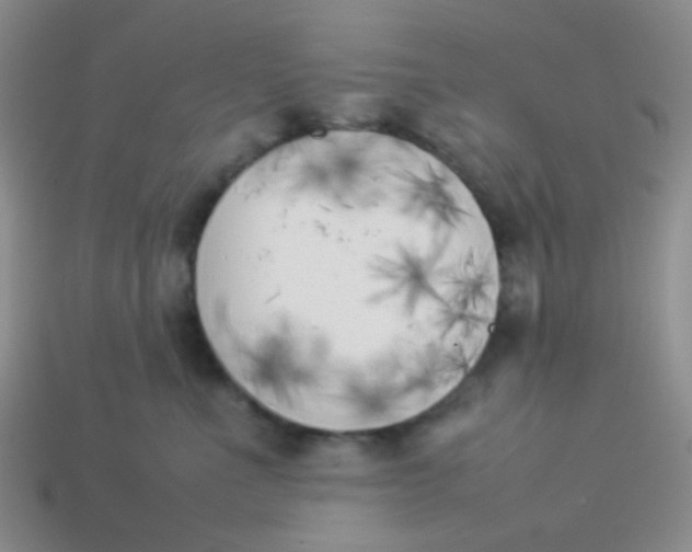 X0000113890523200910151337