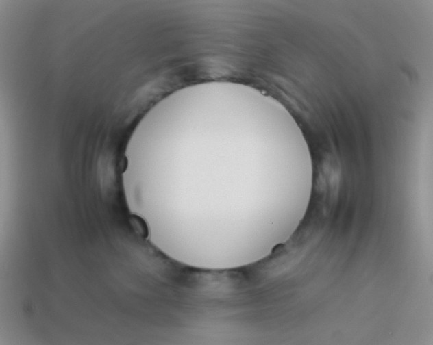 X0000113890524200910151337