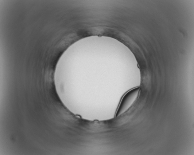 X0000113890525200910151337