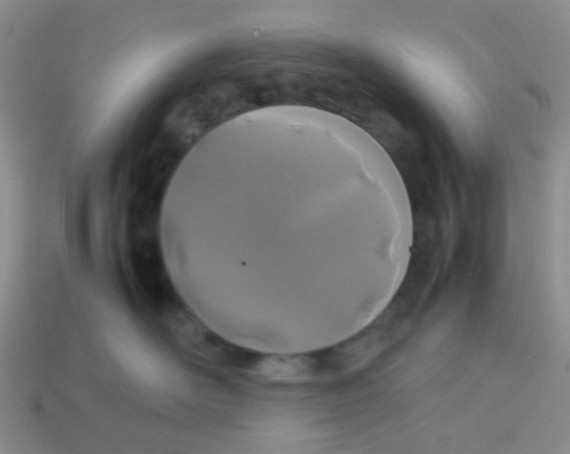 X0000113890526200910151337