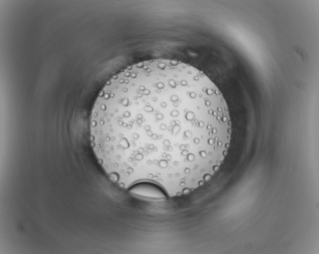 X0000113890527200910151337