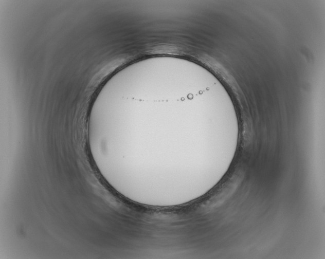 X0000113890529200910151337