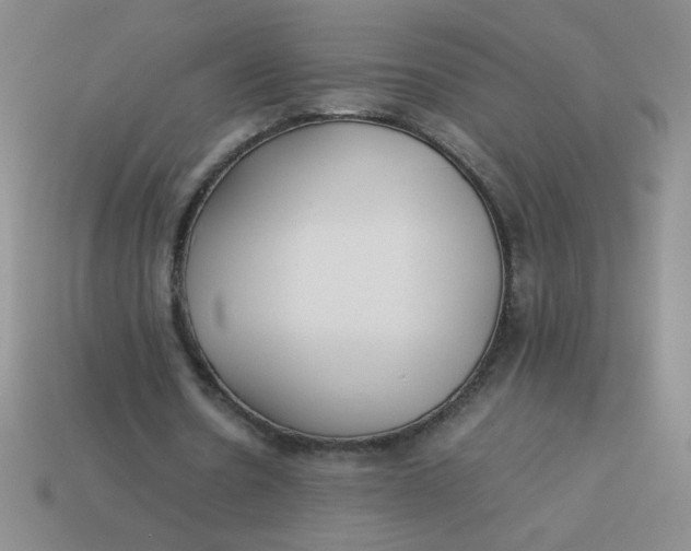 X0000113890530200910151337