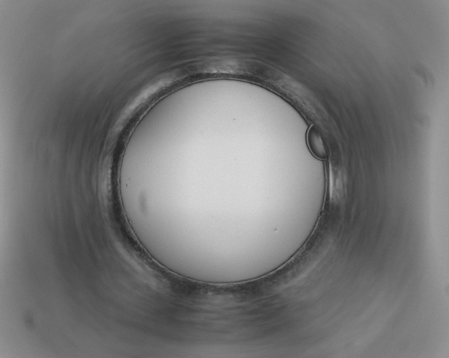X0000113890531200910151337