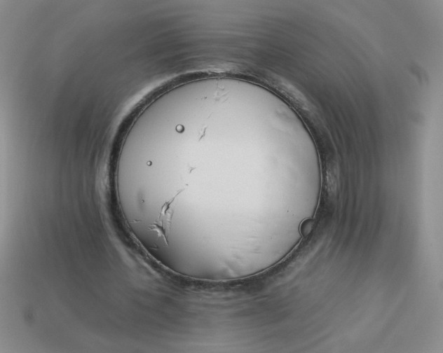 X0000113890532200910151337