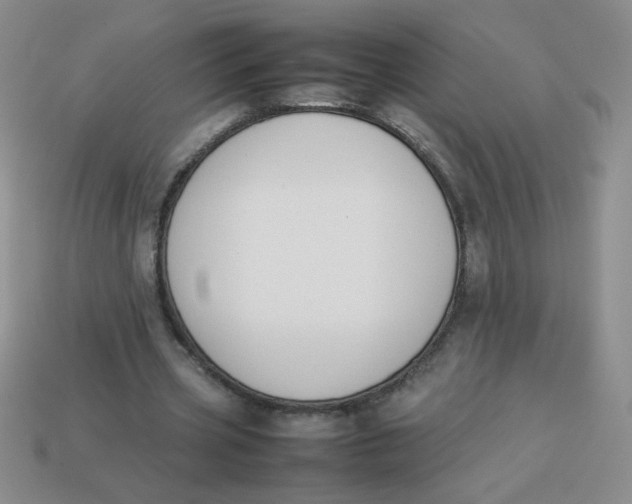 X0000113890533200910151337