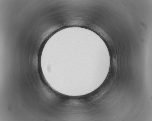 X0000113890534200910151337