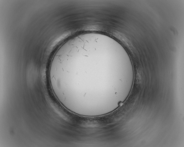 X0000113890535200910151337