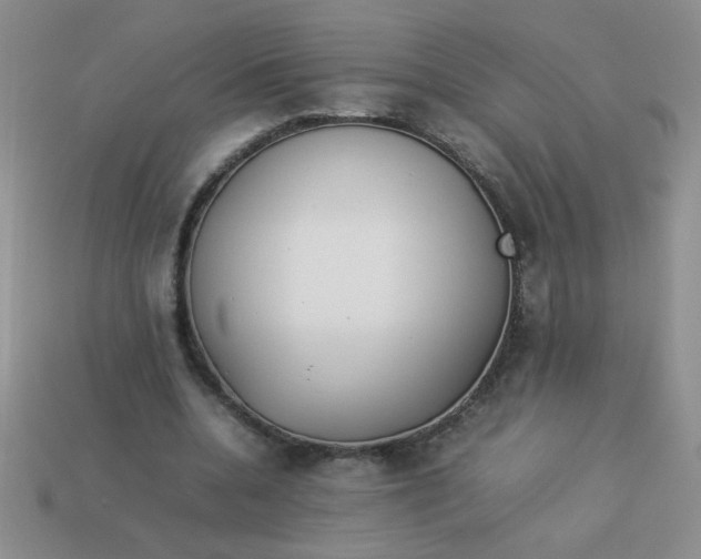 X0000113890536200910151337