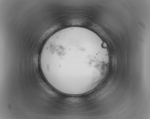 X0000113890537200910151337