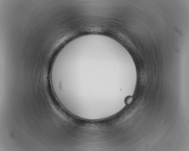 X0000113890538200910151337