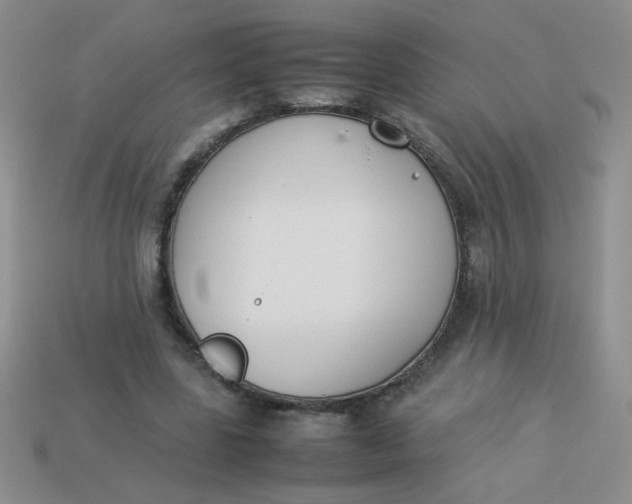 X0000113890539200910151337