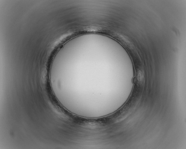 X0000113890540200910151337