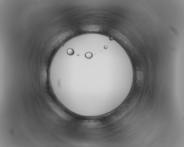 X0000113890541200910151337