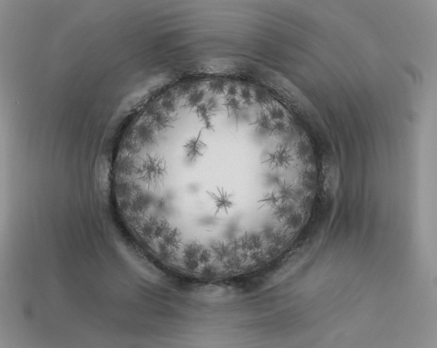 X0000113890542200910151337