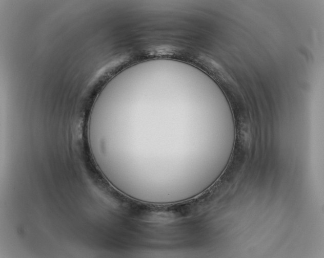 X0000113890543200910151337