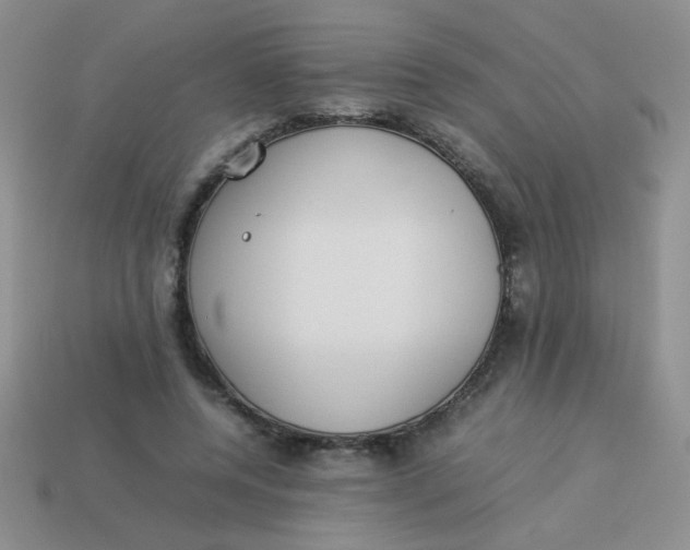 X0000113890544200910151337
