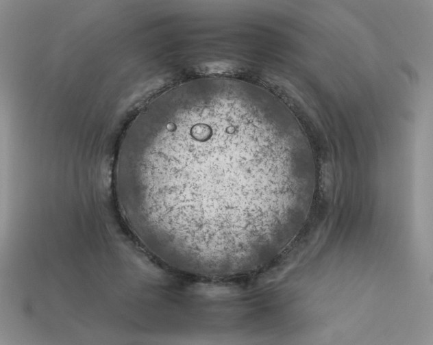 X0000113890545200910151337